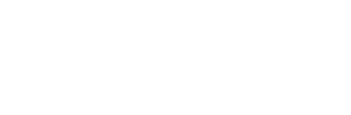 LOGO LOPESAN BLANCO