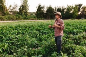 Tendencias en Agricultura 2026
