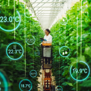 Técnica agrónoma monitorizando parámetros ambientales de un invernadero mediante sensores IoT e inteligencia artificial